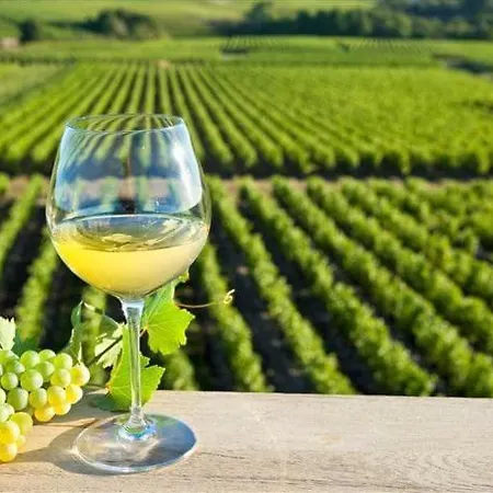 Dépendance Chaleureuse Dans Le Vignoble Nantais