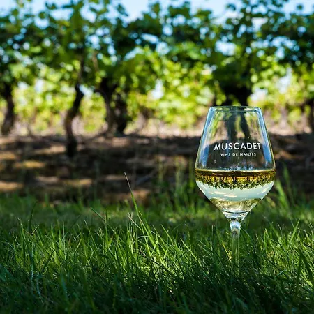 Дом отдыха Dependance Chaleureuse Dans Le Vignoble Nantais *